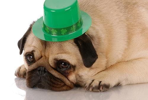 St. Patrick's Day